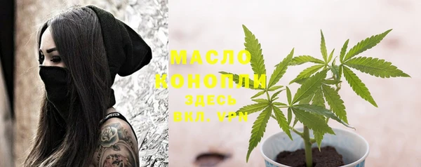 бошки Заводоуковск