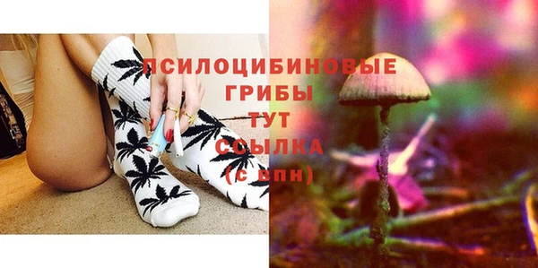 бошки Ленинск-Кузнецкий