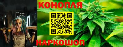 твердый Краснознаменск