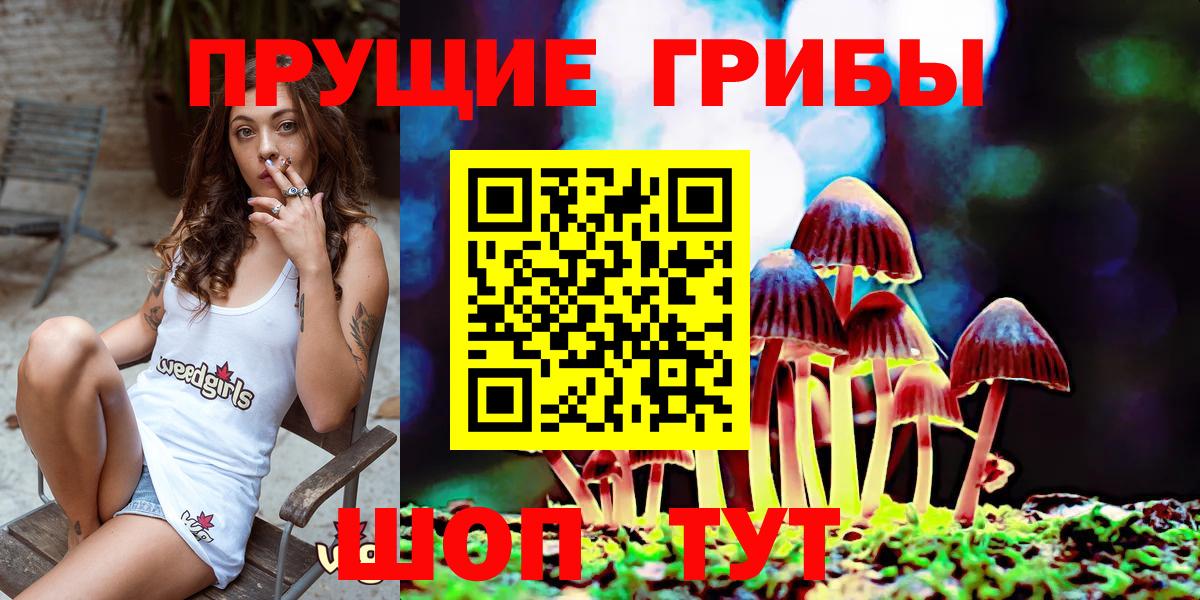 Галлюциногенные грибы мицелий Саяногорск