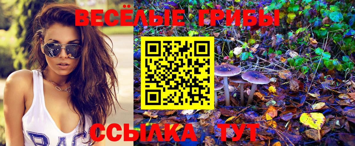 Саяногорск  цена наркотик  Вход с VPN  Галлюциногенные грибы GOLDEN TEACHER 